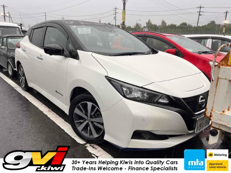 2019 Nissan Leaf E+ 62kWh