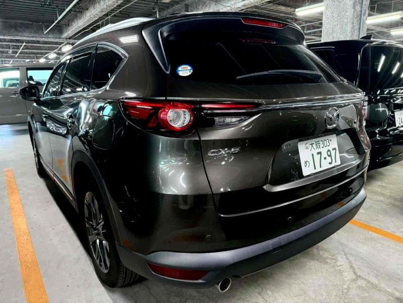2019 Mazda Cx-8 7 Seater Petrol