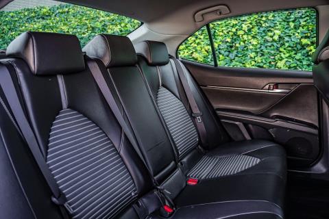 2019 Toyota Camry Hybrid - Thumbnail