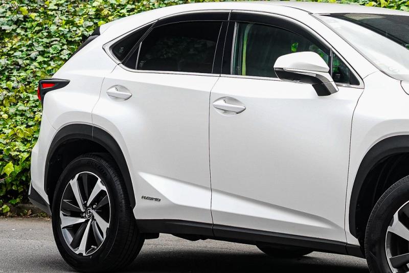 2019 Lexus NX 300h