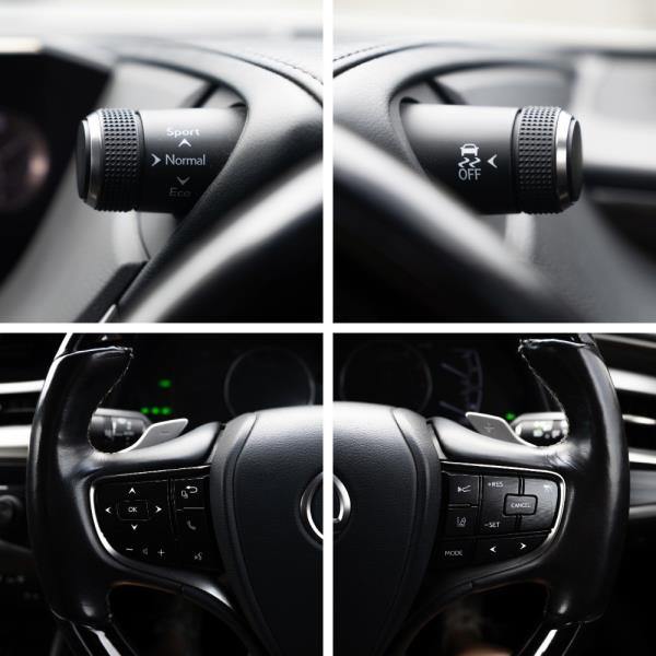 2019 Lexus ES 300h Hybrid